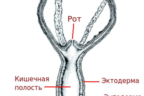 Ссылка на omg omg для tor