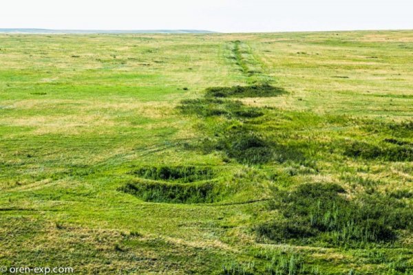 Ссылки на даркнет сайты