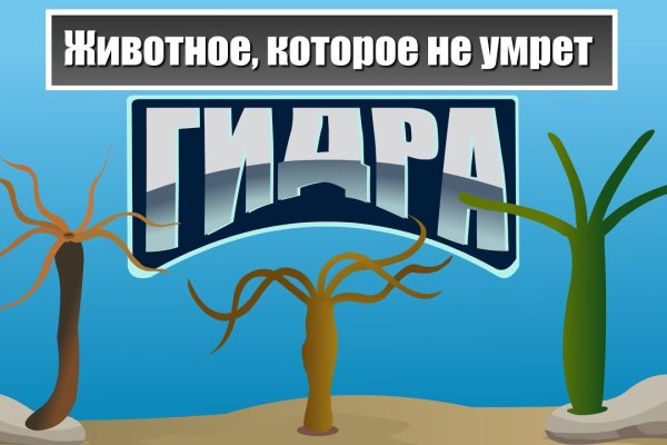 Регистрация на кракен