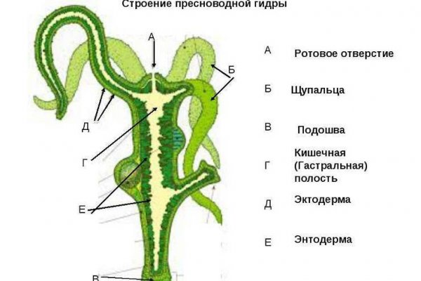 Megaruzxpnew4af onion com сайт